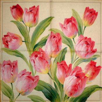 055 Tulpen - 3-lagig (creme) - Ihr